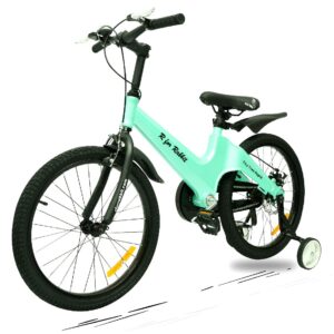 R for Rabbit Tiny Toes Rapid Smart Plug & Play Bicycle Sea Green - 20 inches