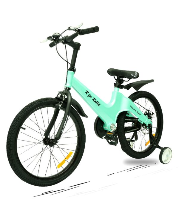 R for Rabbit Tiny Toes Rapid Smart Plug & Play Bicycle Sea Green - 20 inches