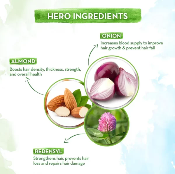 Onion Hair Oil for Hair Regrowth and Hair Fall Control, 250ml - Image 4
