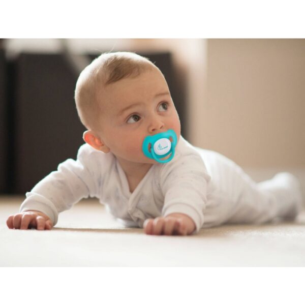 R For Rabbit – Apple Pacifier Size L (Blue) - Image 6