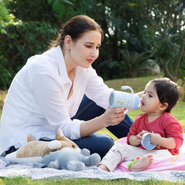 R For Rabbit –  Steebo Giffy SS Feeding Bottle 300 ML (Blue) - Image 8