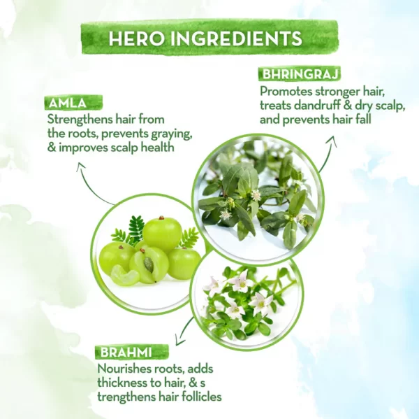 BhringAmla Shampoo with Bhringraj and Amla for Intense Hair Treatment - 250 ml - Image 4