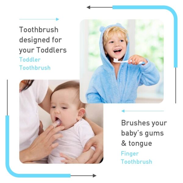 R For Rabbit – Stylo All In One Grooming Kit (Blue) - Image 4