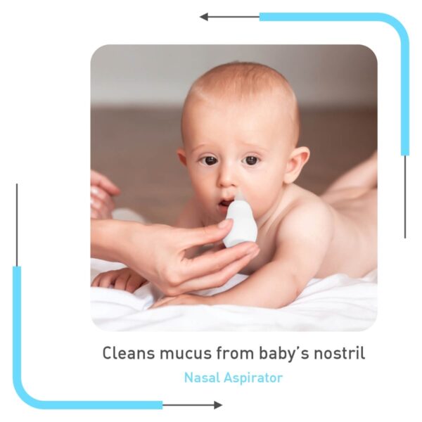 R For Rabbit – Stylo All In One Grooming Kit (Blue) - Image 5