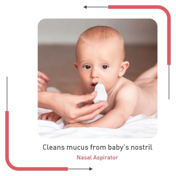 R For Rabbit – Stylo All In One Grooming Kit (Red) - Image 5