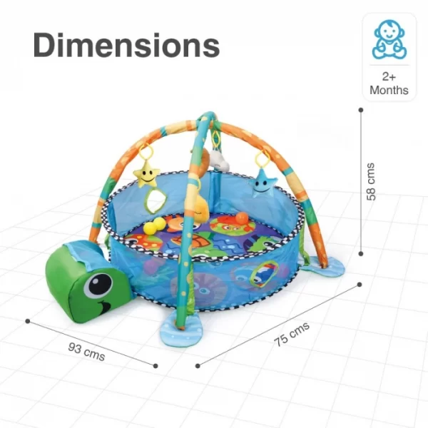 R For Rabbit – First Play Turtle Play Gym (Multi) - Image 7